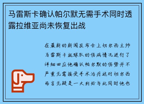 马雷斯卡确认帕尔默无需手术同时透露拉维亚尚未恢复出战